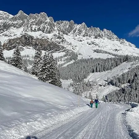 In Muehlbach Near Slopes Шале Мюльбах-ам-Хохкёниг