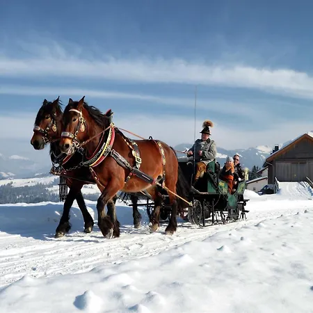 In Muehlbach Near Slopes * Мюльбах-ам-Хохкёниг