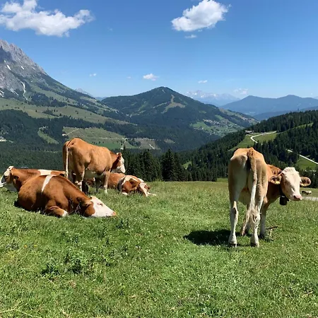 木屋 In Muehlbach Near Slopes Mühlbach am Hochkönig