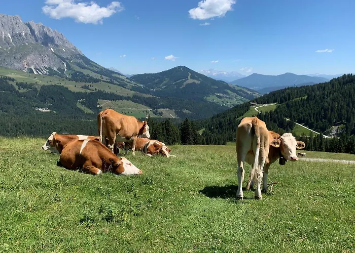 Σαλέ In Muehlbach Near Slopes Mühlbach am Hochkönig